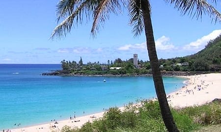 North Shore Tour from Disney Aulani