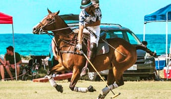 Polo Lesson Hawaii Polo Trail Rides