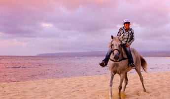 Sunset Horseback Ride Hawaii Polo Trail Rides