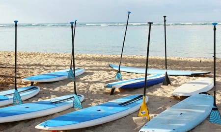 SUP Pokai Bay Surf HNL