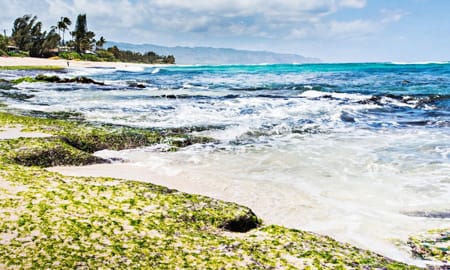 Oahu Eco Adventure Tour