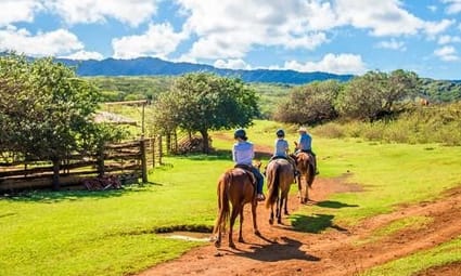 1.5 Hour Scenic Horseback Ride Gunstock Ranch