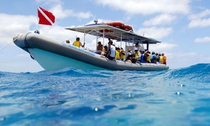 Dolphin Snorkel - Afternoon Tour Ko Olina Ocean Adventures