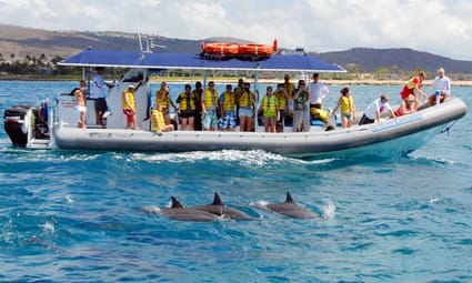Dolphin Snorkel - Morning Tour Ko Olina Ocean Adventures