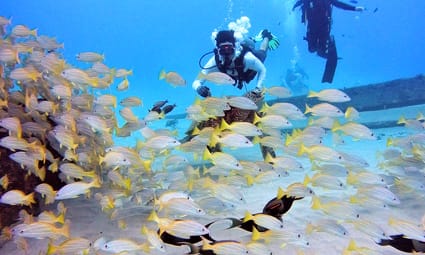One Tank Dive Trident Adventures