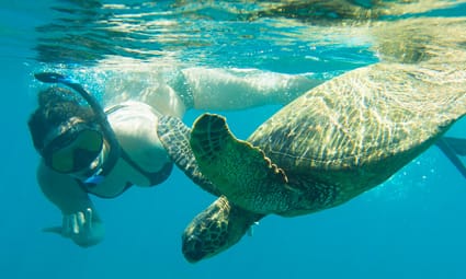 Snorkel Adventure Trident Adventures