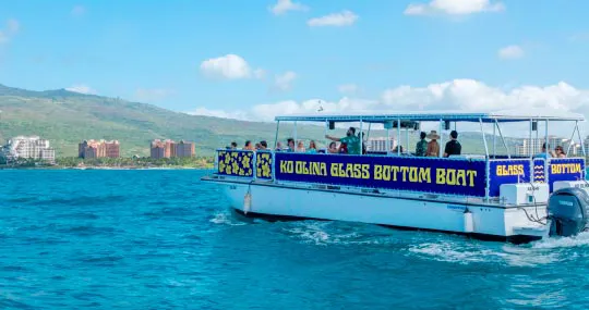 Daytime Glass Bottom Boat Tour Hawaii Glass Bottom Boats